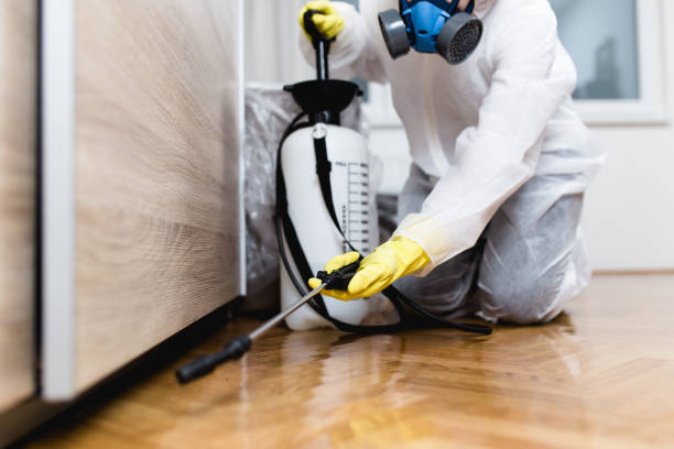 Reliable Brambleton, VA Pest Control Solutions