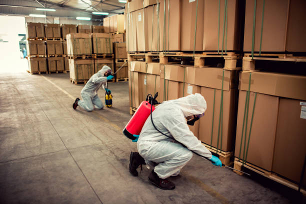 Best Wasp Removal Services  in Brambleton, VA