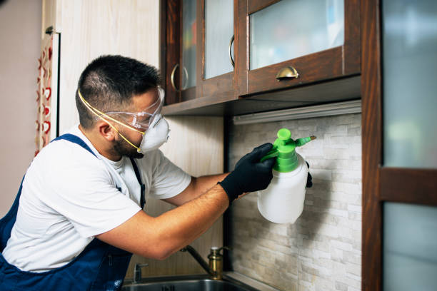 Best Pest Control Near Me  in Brambleton, VA