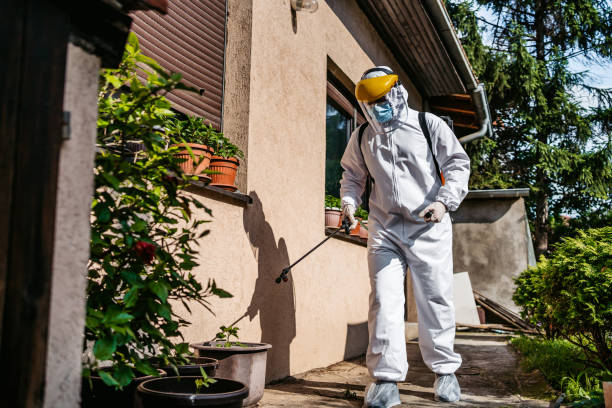 Best Spider Control Near Me  in Brambleton, VA