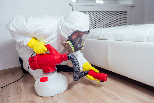 Best Wasp Removal Services  in Brambleton, VA