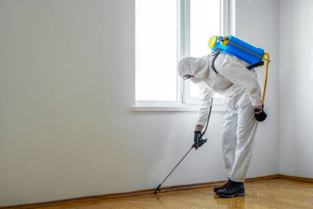 Best Emergency Pest Control  in Brambleton, VA