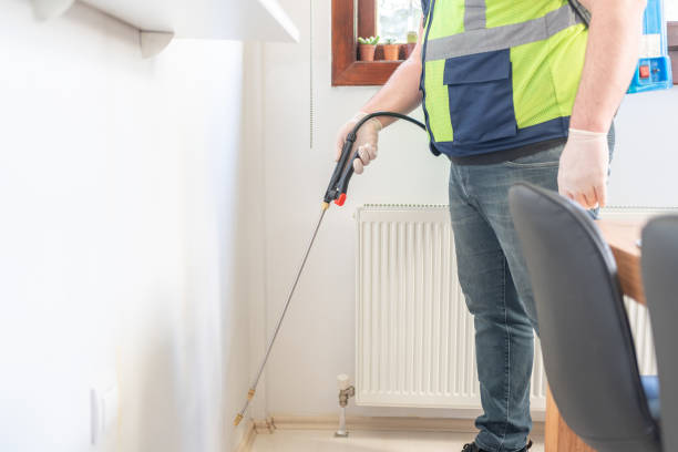 Best Flea Control Services  in Brambleton, VA