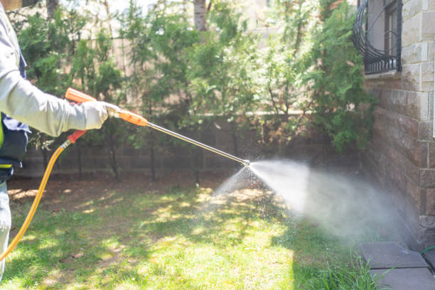 Best Flea Control Services  in Brambleton, VA
