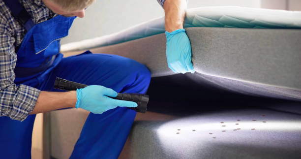 Best Residential Pest Control  in Brambleton, VA