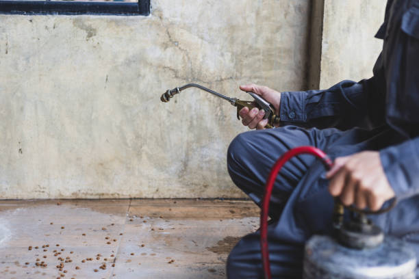 Best Pest Control for Businesses  in Brambleton, VA